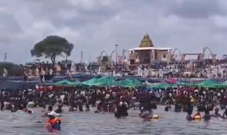 Saraswathi pushkaralu