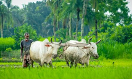 farming