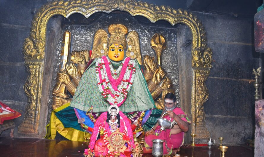 Bhadrakali Temple : నవరాత్రి మహోత్సవములు తొమ్మిదవ రోజుకు చేరుకున్నాయి.